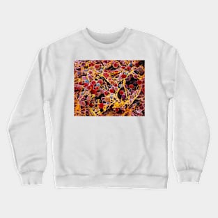 Coloured SEM of adipose tissue showing fat cells (P760/0014) Crewneck Sweatshirt